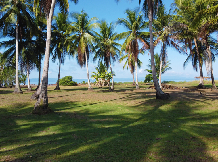 playa-zancudo-beachfront-lot-for-sale