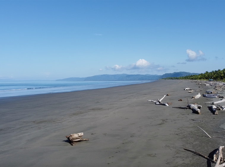 playa-zancudo-wide-beach-lot-for-sale