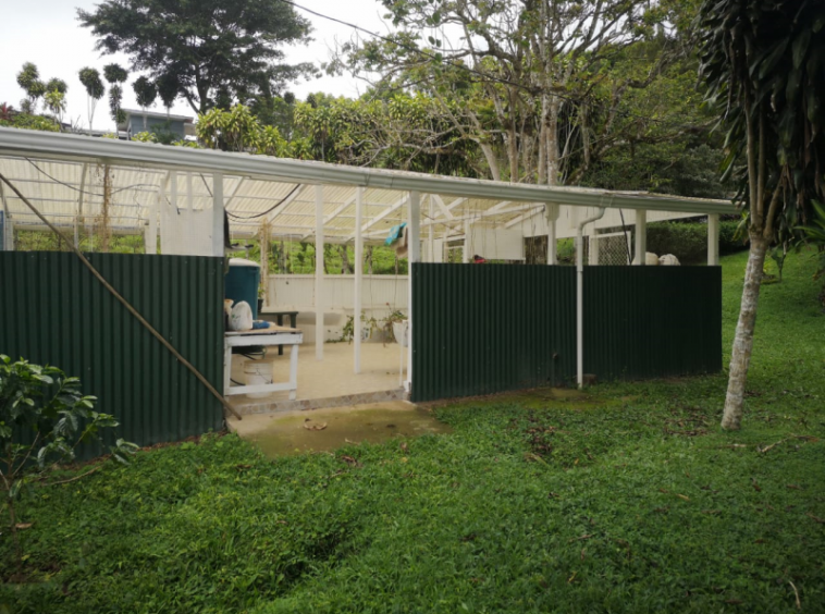 san-vito-garden-estate-costa-rica