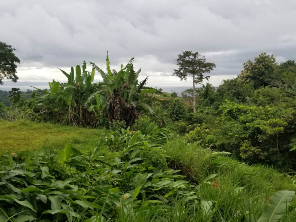 cuervito-pavones-lot-for-sale