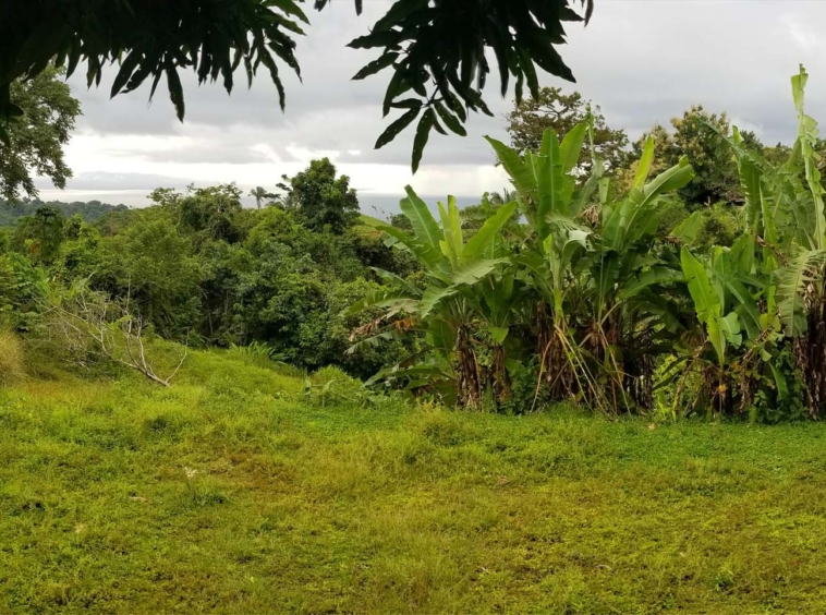 cuervito-pavones-lot-for-sale