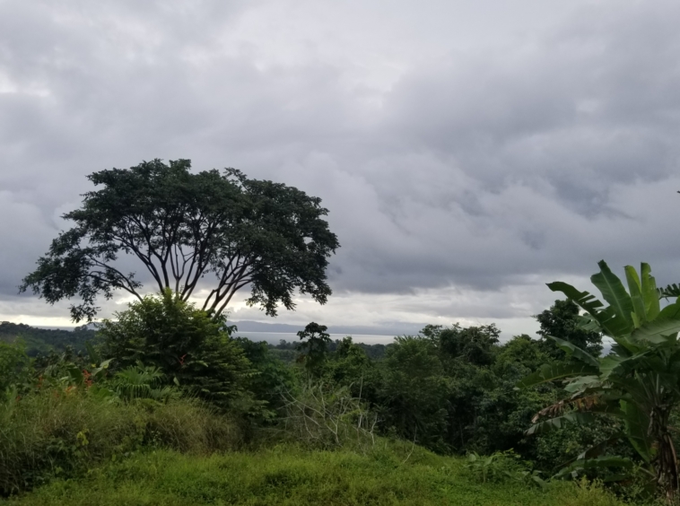 cuervito-pavones-lot-for-sale