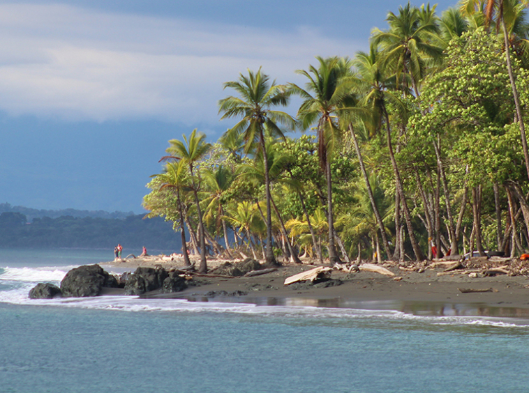 pavones-point-beach-surfing