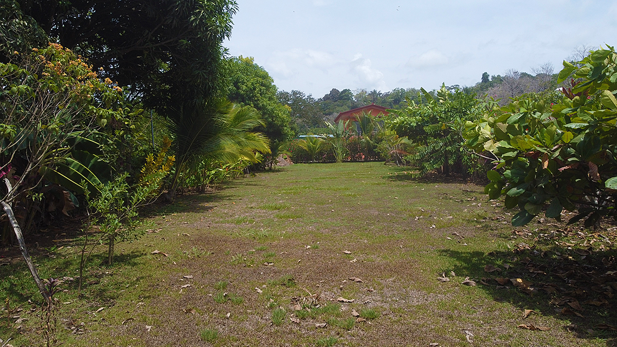 pavones-walk-to-surf-lot-for-sale