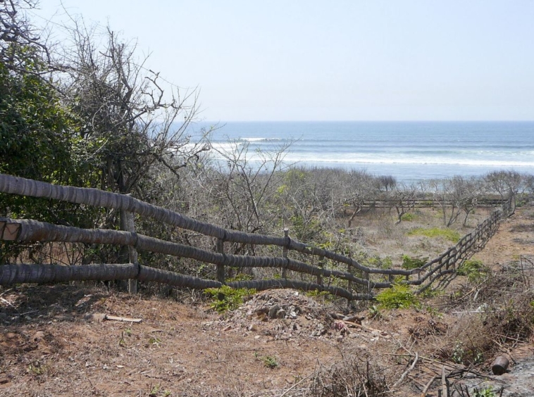 casa-palo-alto-for-sale