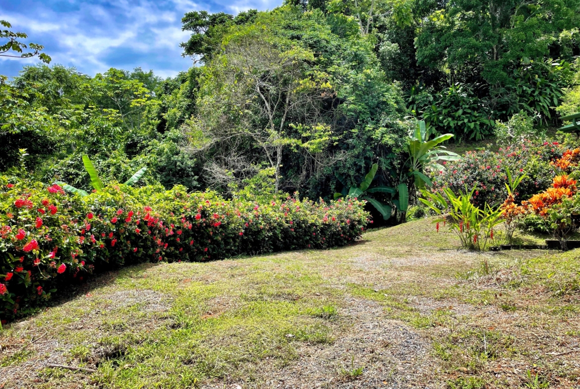 6.95-acres-ocean-view-costa-rica