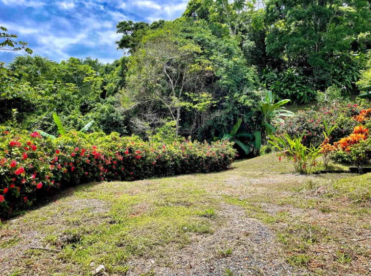 6.95-acres-ocean-view-costa-rica