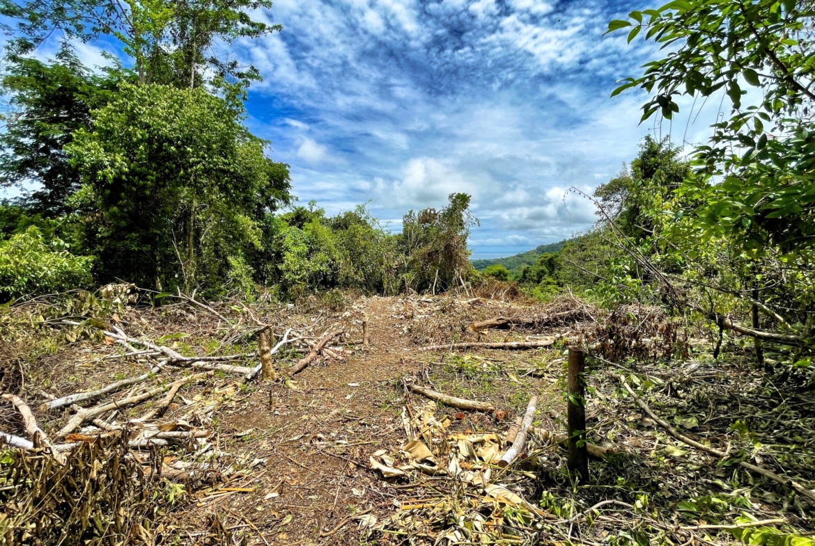 6.95-acres-ocean-view-costa-rica