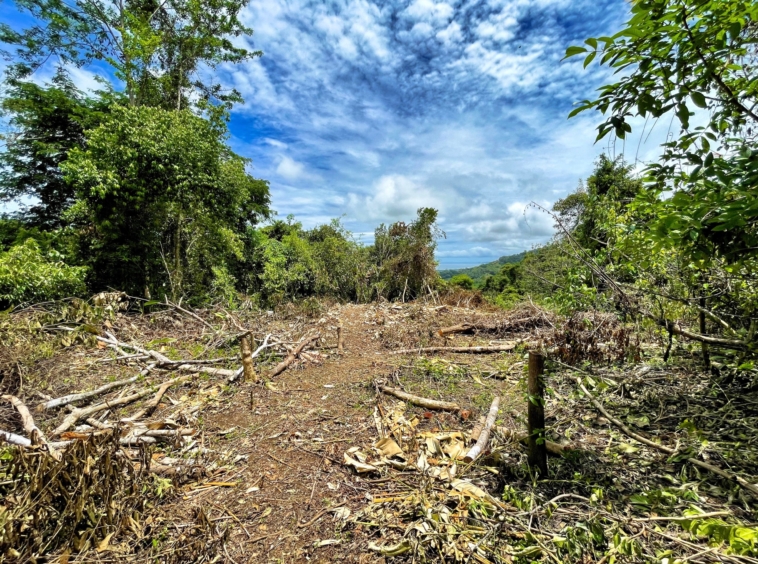 6.95-acres-ocean-view-costa-rica