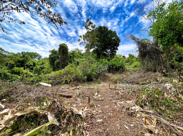 6.95-acres-ocean-view-costa-rica