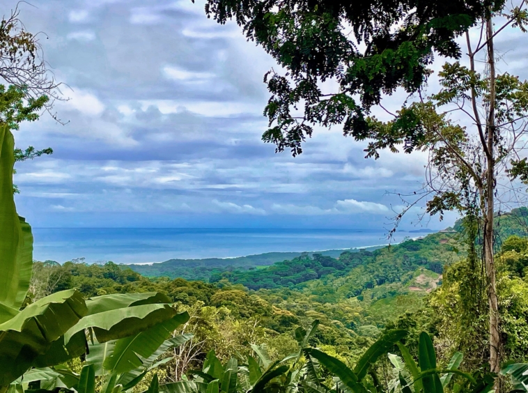 6.95-acres-ocean-view-costa-rica