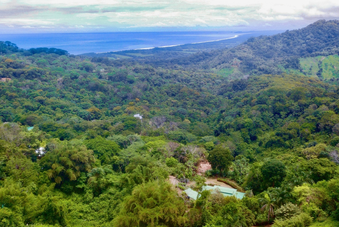 6.95-acres-ocean-view-costa-rica