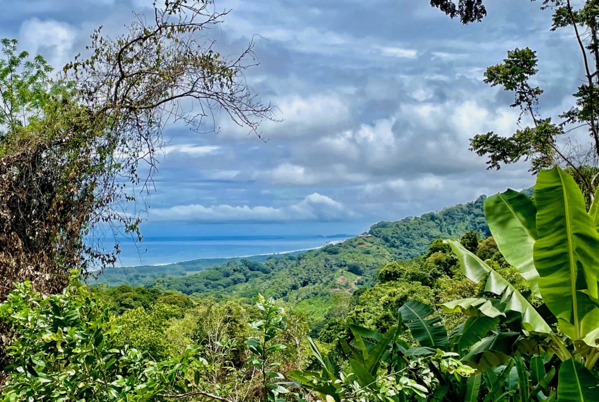 6.95-acres-ocean-view-costa-rica