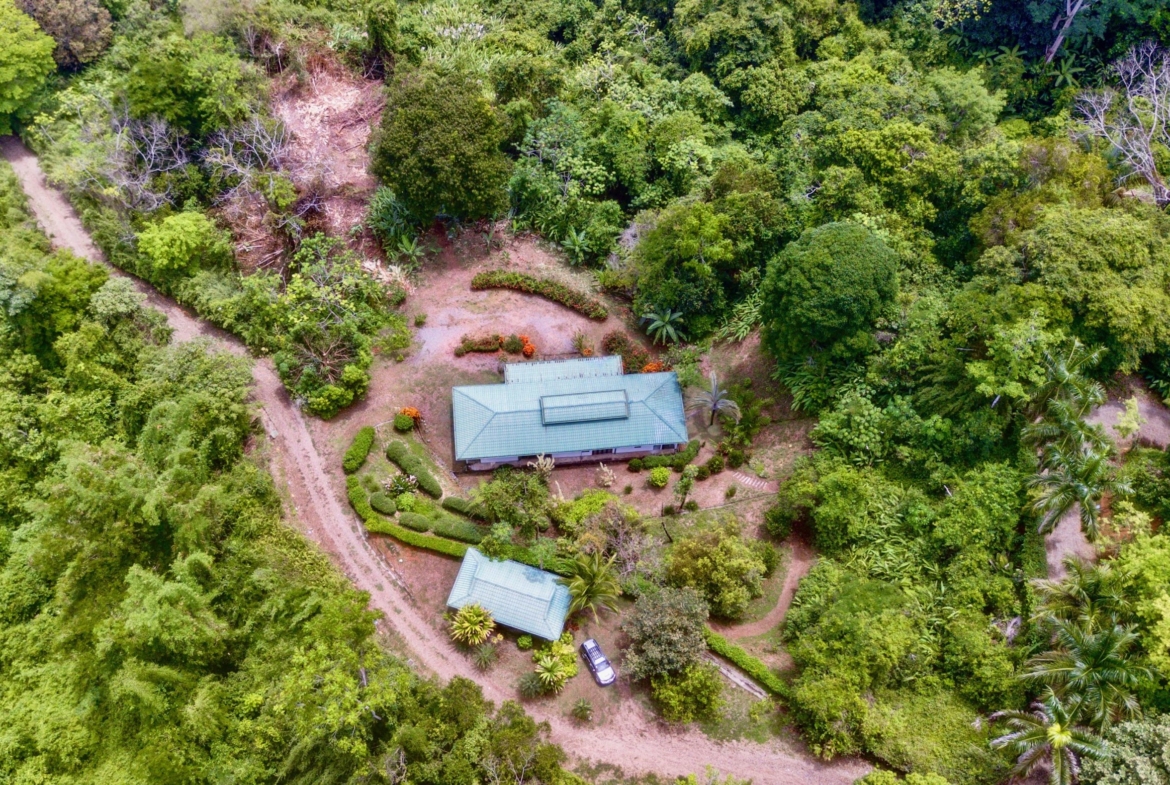 6.95-acres-ocean-view-costa-rica