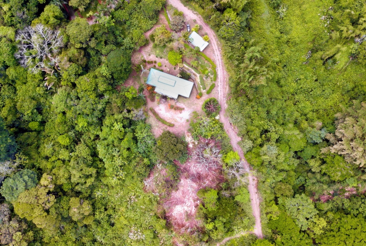 6.95-acres-ocean-view-costa-rica