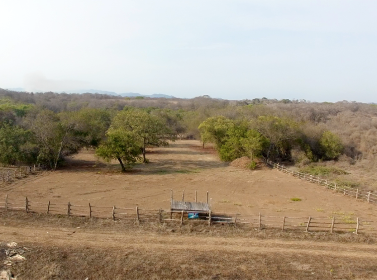 ranch-lots-playa-capire