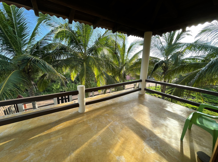 casa-palo-alto-mexico