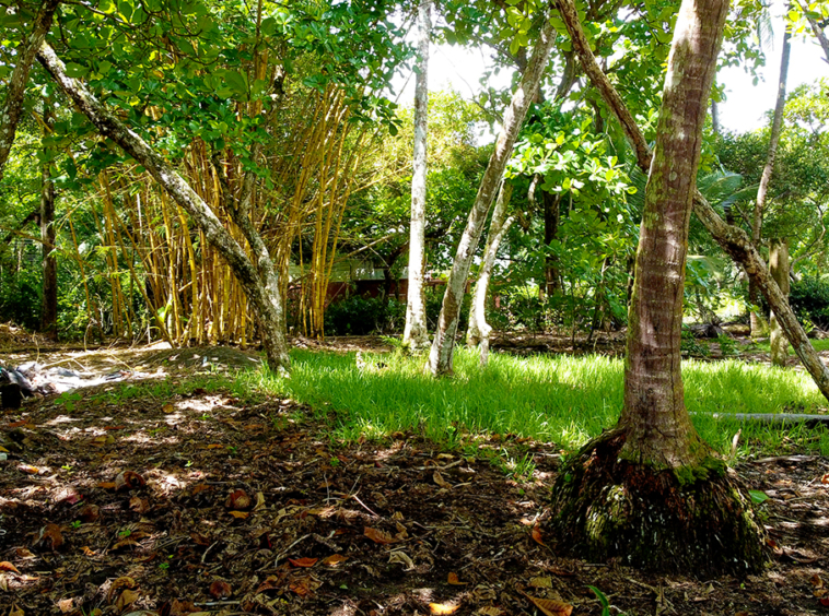 lote-libertad-playa-zancudo-lot-for-sale