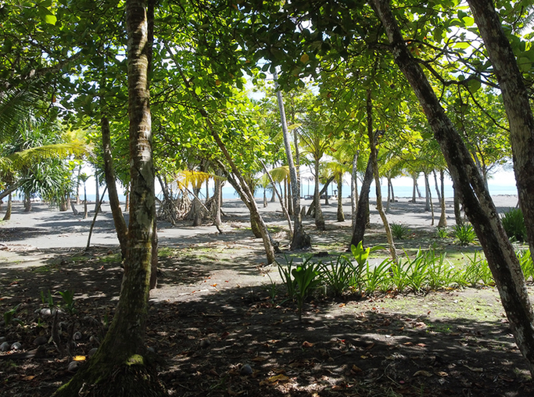 lote-libertad-playa-zancudo-lot-for-sale
