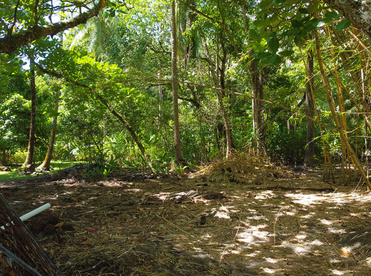 lote-libertad-playa-zancudo-lot-for-sale