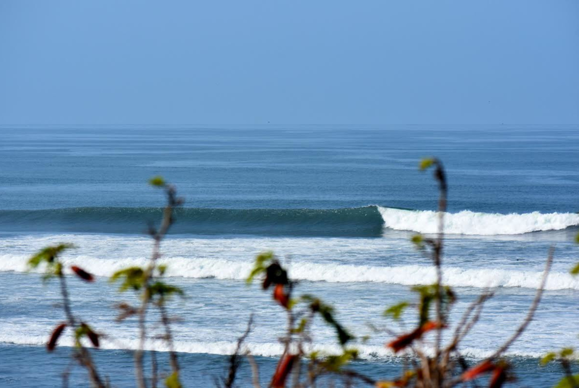 palo alto ranch waves