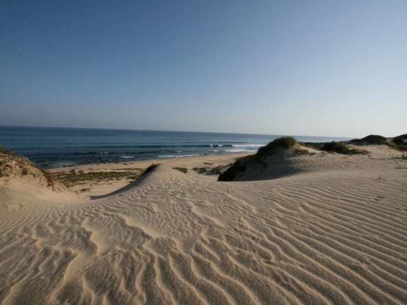 shipwrecks-oceanfront-lot-east-cape