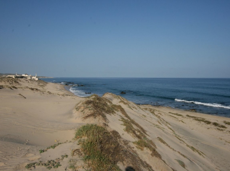 shipwrecks-oceanfront-lot-east-cape