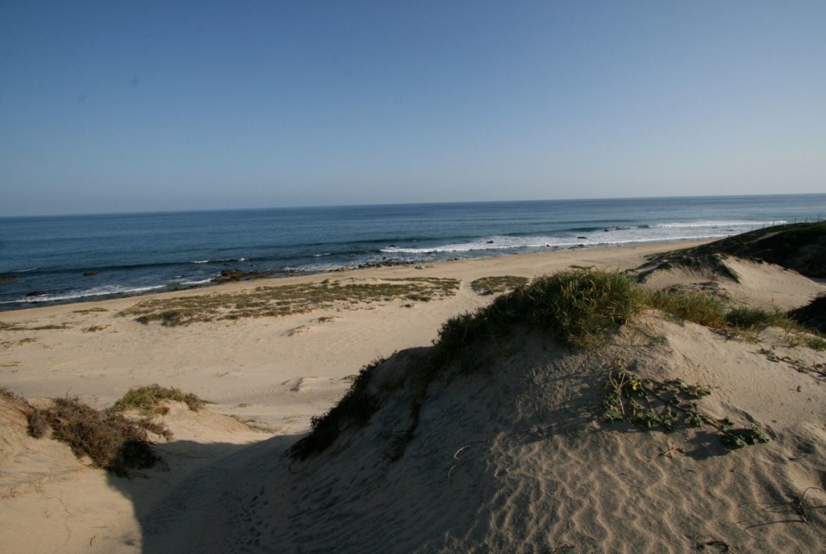 shipwrecks-oceanfront-lot-east-cape