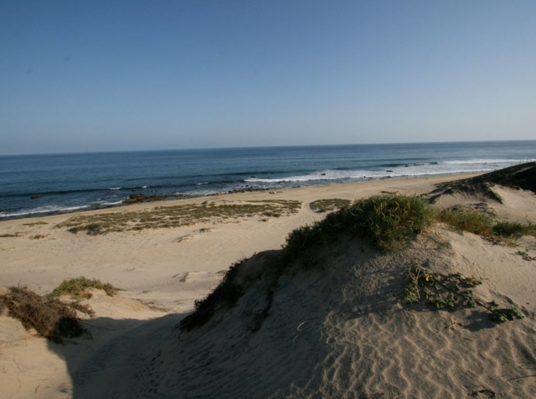 shipwrecks-oceanfront-lot-east-cape