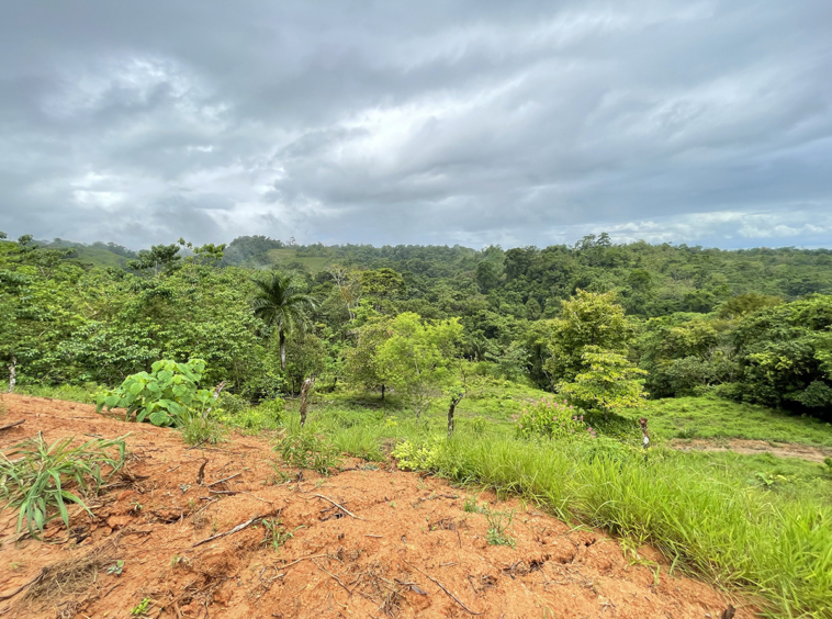 ocean-view-lot-1-above-pavones