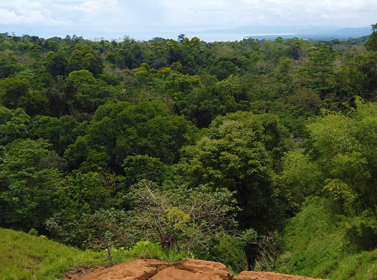 vista-dulce-pavones-lot-3