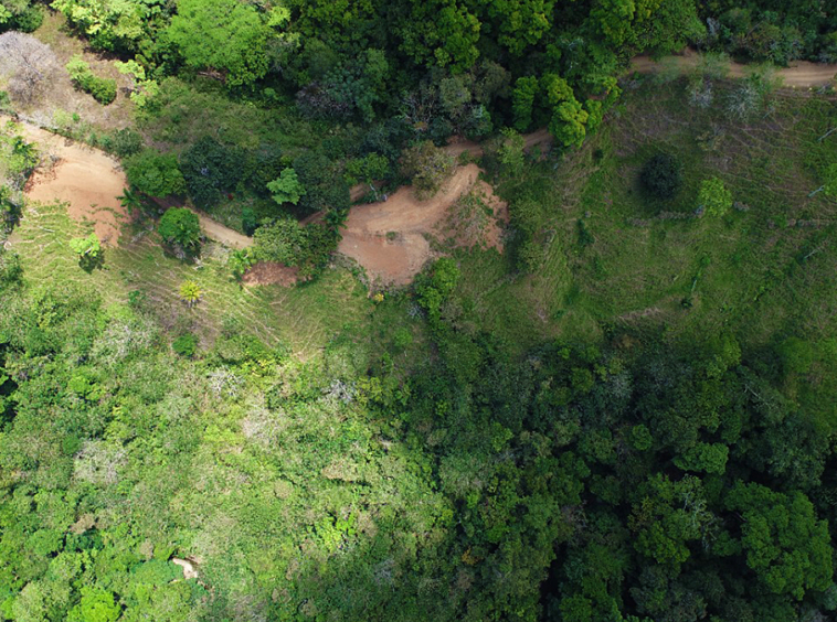vista-dulce-pavones-lot-4-5-view-out
