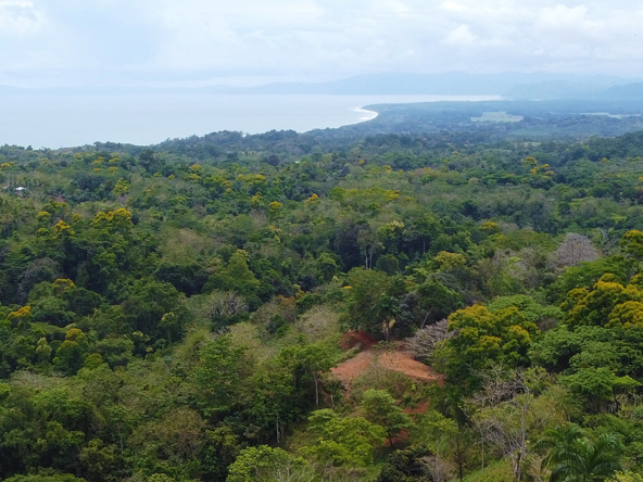 vista-dulce-pavones-lot-2