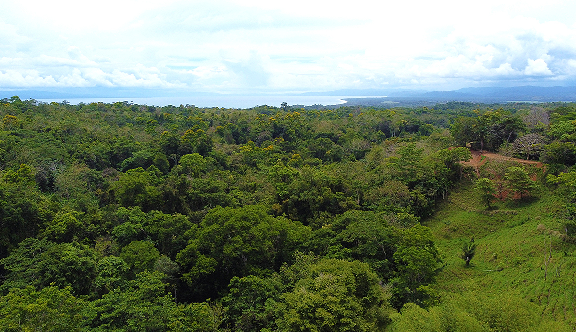 vista-dulce-pavones-lots-ocean-view