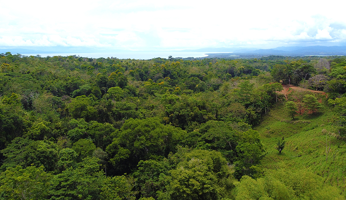 vista-dulce-pavones-lots-ocean-view