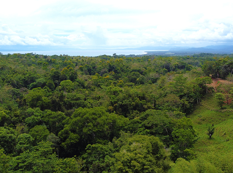 vista-dulce-pavones-lots-ocean-view
