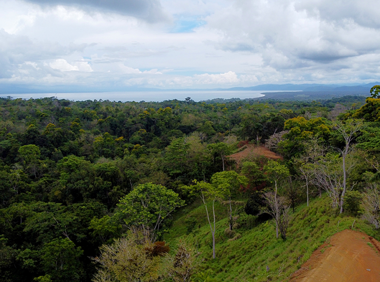 vista-dulce-pavones-lot-2-ocean-view