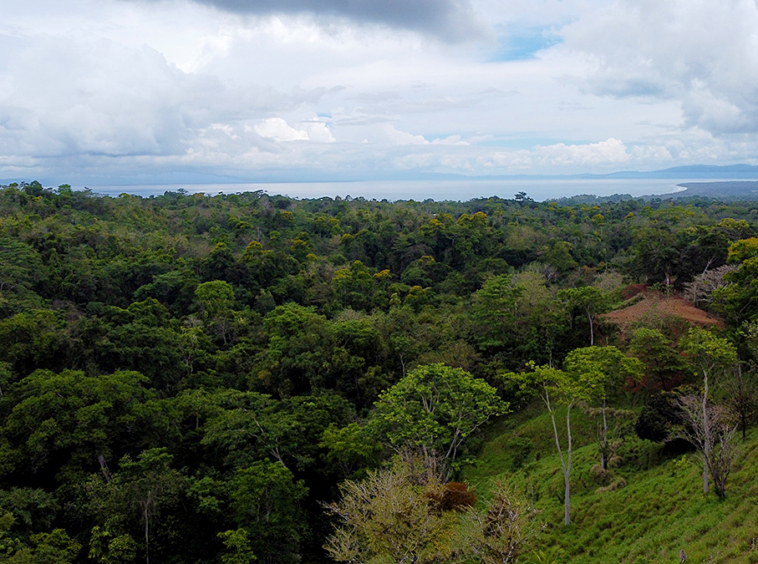 vista-dulce-pavones-lot-2-ocean-view