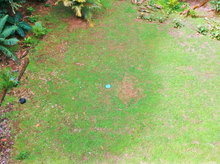 pavones-2-hectares-with-creek