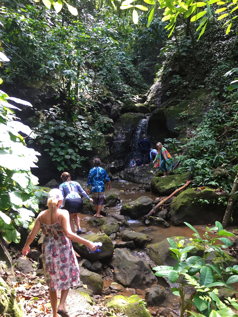 simbiosis-nature-experience