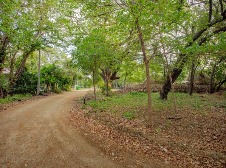 hacienda-iguana-surf-lot-M-24