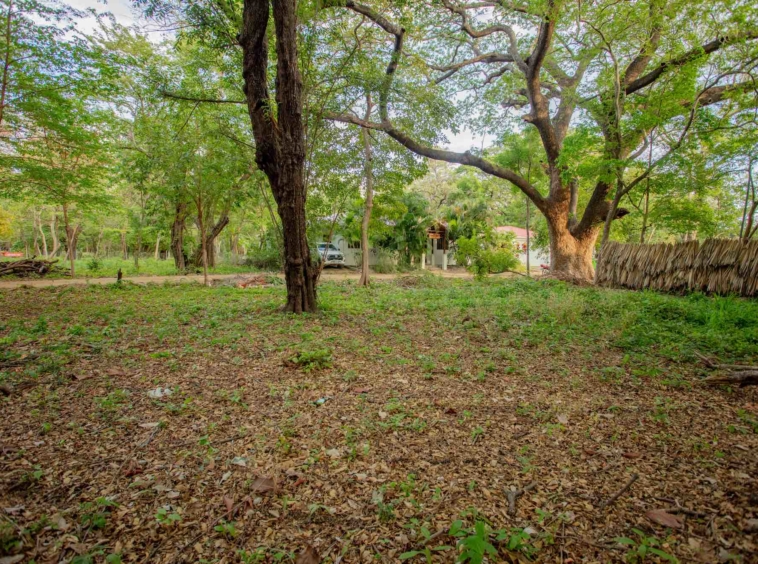 hacienda-iguana-surf-lot-M-24
