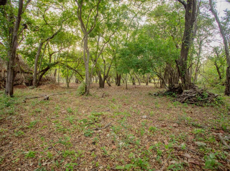 hacienda-iguana-surf-lot-M-24