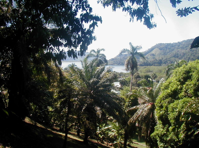 ocean-view-lot-golfito
