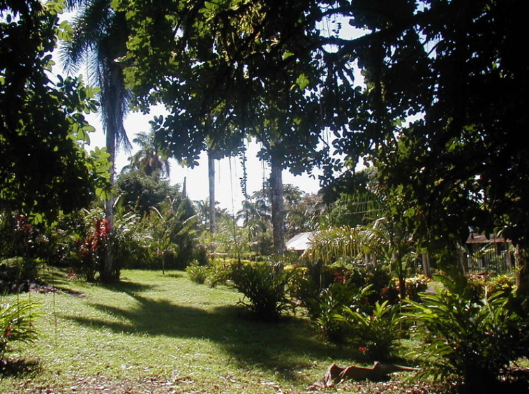 ocean-view-lot-golfito