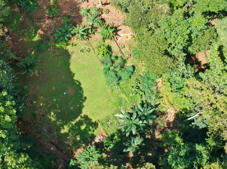pavones-2-hectares-with-creek