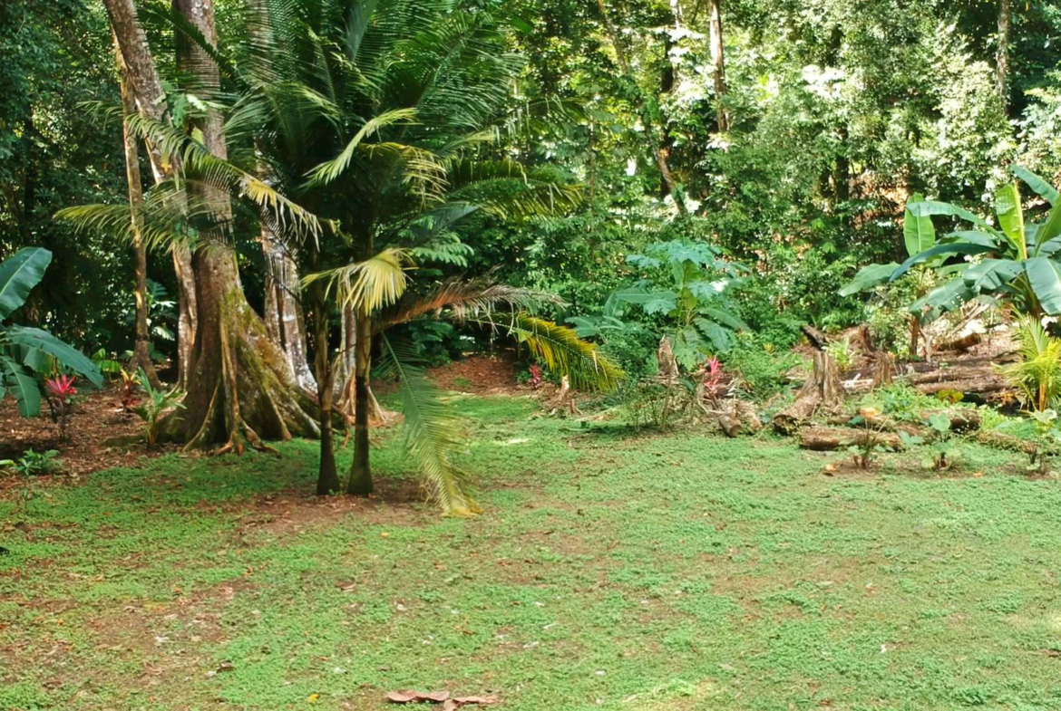 pavones-2-hectares-with-creek