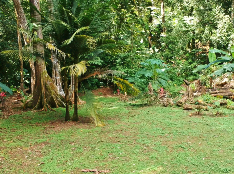 pavones-2-hectares-with-creek