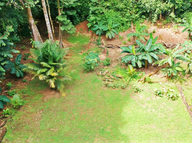 pavones-2-hectares-with-creek
