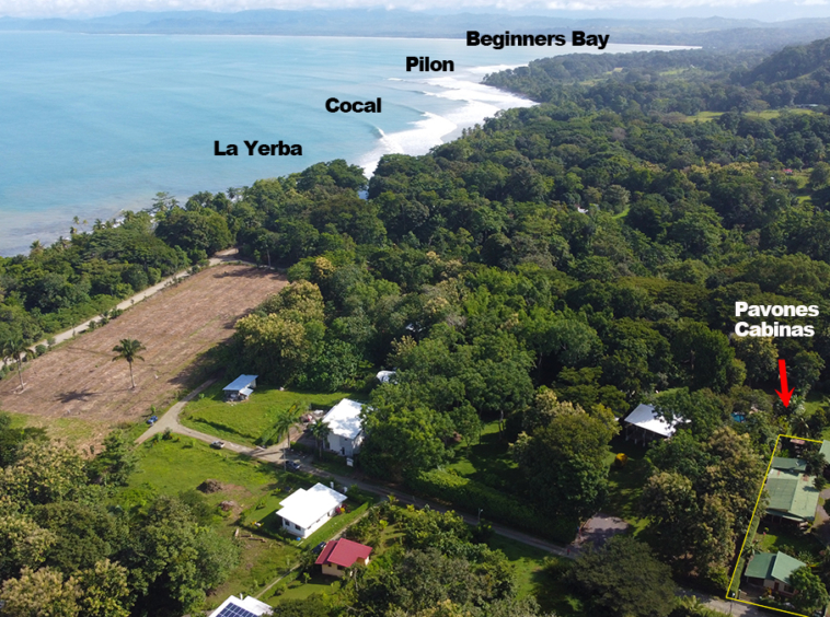 pavones-cabinas-for-sale-costa-rica